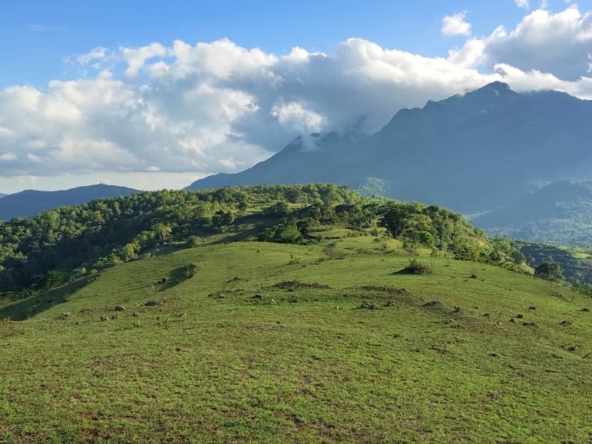 Land for sale dudugatti palakkad