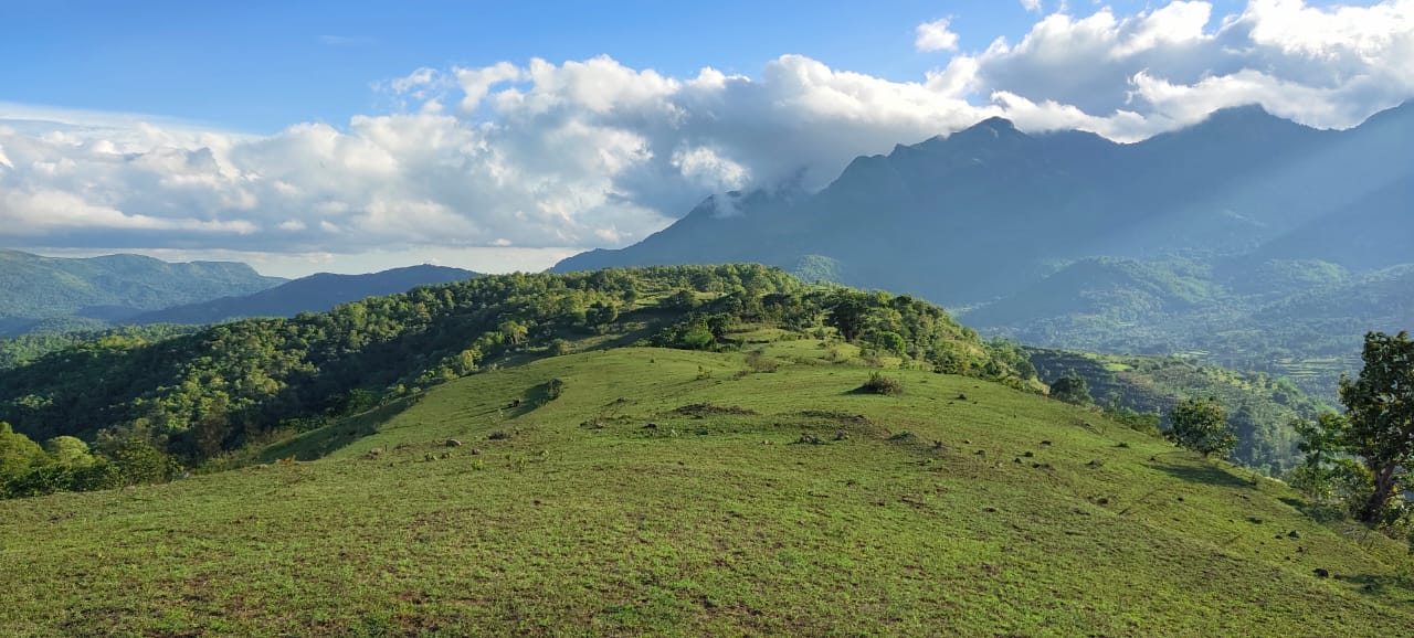 Land for sale dudugatti palakkad